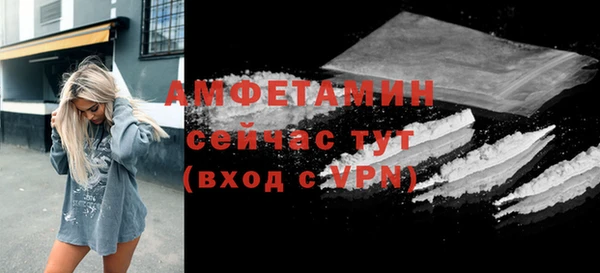 spice Богородск