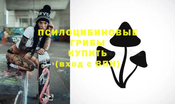 эйфоретик Богданович