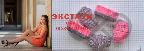 крисы Бородино
