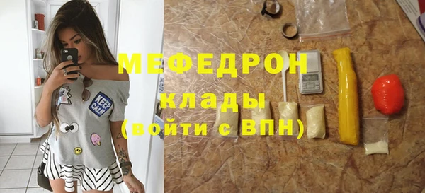 spice Богородск
