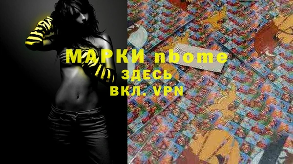 spice Богородск