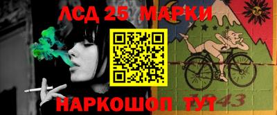 индика Кандалакша