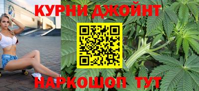 apvp Канаш