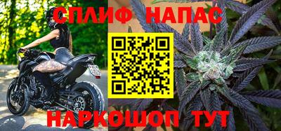 индика Кандалакша