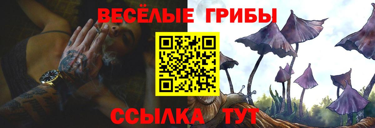 Галлюциногенные грибы ЛСД  Вход с VPN  Среднеуральск 